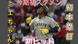 やったぞ阪神ミエちゃん！応援歌付き デビュー戦で圧巻の来日1号「すごく嬉しいよ」左翼スタンドに豪快にたたき込む#ミエセス#阪神タイガース#阪神