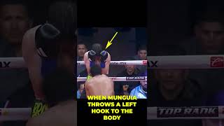 JAIME MUNGUIA GETS KO'D BY SURACE! #jaimemunguia #brunosurace #boxing