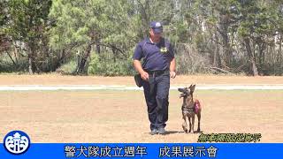 【澎湖縣政新聞】 警犬隊成立週年成果展示會