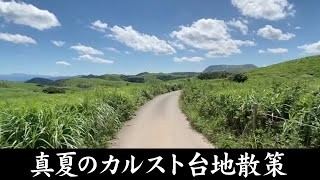 真夏の平尾台散策（カルスト台地）福岡県北九州市