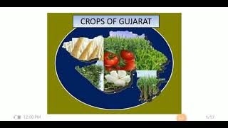 Class 4 Env topic - crops of gujarat