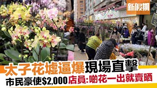 新年年花2023｜逼爆太子花墟直擊 市民豪使$2000 花店：啲花一出就賣曬｜新假期【玩樂速報】