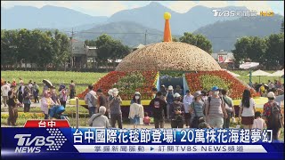 台中國際花毯節登場! 20萬株花海超夢幻｜TVBS新聞 @TVBSNEWS01