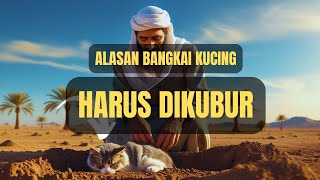 Inilah Alasan Bangkai Kucing Harus Dikubur Dalam Islam 🐱☪️