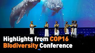 Highlights from COP16 Biodiversity Conference