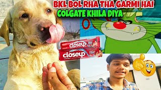 THE BKL WAS  SAYING IT WAS HOT 🥵 AND  I PUT IT COLGATE  IN MY MOUTH 👄🤣|| SHIVA SINGH