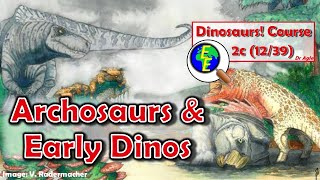 Archosaurs, Pseudosuchians, and Early Dinosaurs (2c - 12/39)