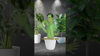 The ultimate heist crew #comedy #music #parody of Bad Guy by Billie Eilish