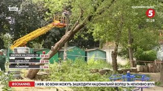 Повалені дерева, підтоплені будинки та град розміром з горіх: негода наробила шкоди на Одещині