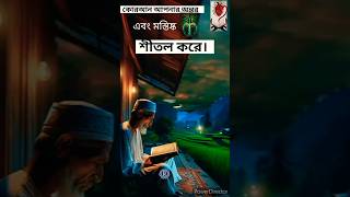 হার্ড এবং মস্তিষ্ককে শীতল করার সেরা উপায় #qurantilawat #Islamic #short# video #