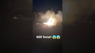 Floare piccolo 600 focuri| petarde 2021-2022| test petardy| vuurwerk