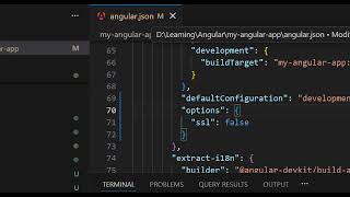 ⚙️ Angular Local Development with HTTPS