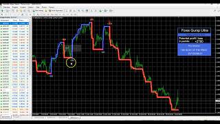 Forex Indicators Promo Forex Gump Champ Andrej Kozak Imclips Net - 