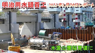 【明治用水頭首工】水源公園の桜は見頃へ【3月24日レポート】