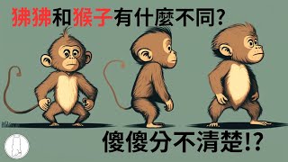 狒狒和猴子有什麼不同，如何辨認？ 一定要看到最後!