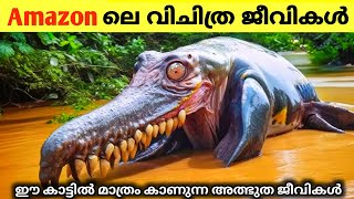 😱അധികം ആർക്കും അറിയാത്ത ആമസോണിലെ രഹസ്യങ്ങൾ.../Aamazon Rarest Things / Glitting world #amazon