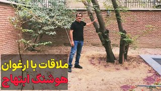 درخت ارغوان شعر ابتهاج کجاست؟