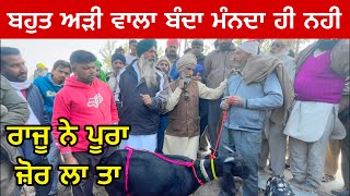 ਬਹੁਤ ਅੜੀ ਵਾਲਾ ਬੰਦਾ ਮੰਨਦਾ ਹੀ ਨਹੀ । Longowal bakra Mandi #bakramandi #rajudirba