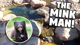 Amazing *MINK POND* With a Tunnel System