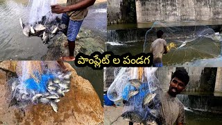 సరళ సాగర్ అన్నీ పాంప్లేట్ చేపలే // Sarala Sagar fishing in pamphlet // fishing all Telugu