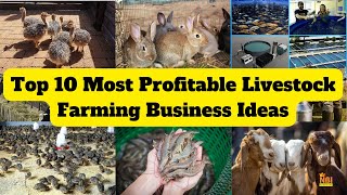 Top 10 Most Profitable Livestock Farming Business Ideas || Animal Farming Business Ideas