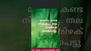 😳😳പുലിയെ കണ്ട് വന പാലകൻ മരത്തിൽ കയറി വിഡിയോ എടുക്കാനുള്ള ധൈര്യം 🙏🏻സപ്പോർട്ട് കൂട്ടുകാരെ 👍🏻👍🏻