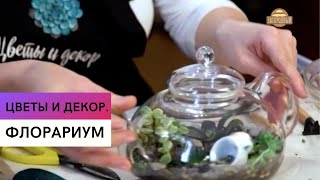 Флорариум \ Как сделать цветочный сад в маленьком чайнике \ Цветы и декор