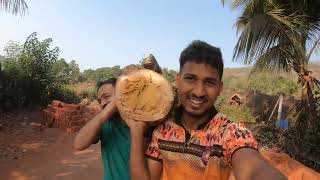 एवढा मोठा हलकुंड ओढण पडलं भारी 😢 | कोकणातील शिमगा | kokanatil Shimga |#ravindrashigwan #kokan #शिमगा