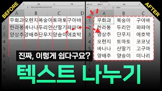 직장인의 1%만 알고 있는, 텍스트 나누기의 숨겨진 사용법 | 진짜 쓰는 실무 엑셀 2-4-1