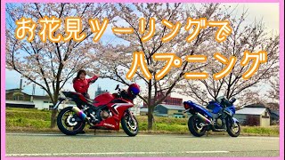 【バイク女子】親子ほのぼのツーリング　桜を見に行ったらハプニングが起きた