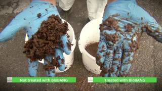 BioBANG   Totale Vinaccia ENG