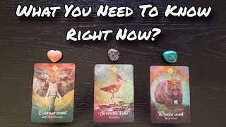 🦋🌏 What Do You Need To Know Right Now? Pick A Card Reading