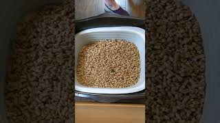 Cleaning a pine pellet litterbox