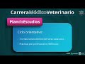 Carrera de Medicina Veterinaria