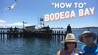 How to do a Day Trip to Bodega Bay