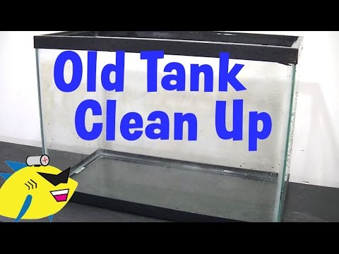 How to Clean up an Old Aquarium How to Clean up an Old Aquarium