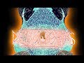 Deadlights - 