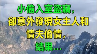 小偷入室盜竊，卻意外發現女主人和情夫偷情，結果... 情感故事，爱情故事，两性故事，家庭伦理，悬疑故事，婚姻感情，情感纠葛，社会百态，逆袭，家庭故事。