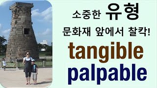 Q5 English 어휘 Lesson 824 (느껴지는, 만져지는, 유형의 – palpable, tangible)