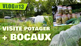 VLOG potager 13 /// VISITE & BOCAUX de courgettes