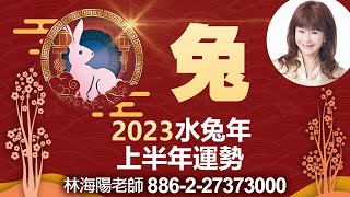 林海陽 2023 水兔年 上半年運勢 生肖兔