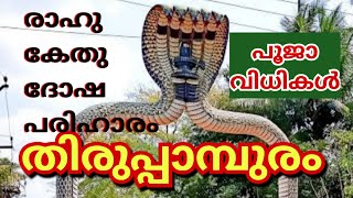 Thirupampuram Temple History in Malayalam #temple #malayalam #thirupampuram #raghu #kethu