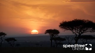 SpeedTree VFX Reel 2020