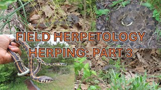 Finding Tons of Snakes in the Hill Country - UT Austin Field Herpetology: Part 3