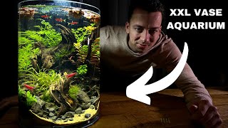 Creating A Giant No Filter Vase Aquarium - Step-by-step Aquascape Tutorial