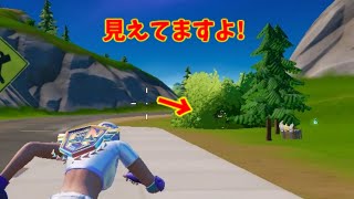 【Fortnite】ブッシュに隠れても無駄ですよ!#shorts