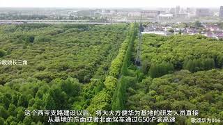 华为青浦研发基地东侧新建西岑支路连接沪渝高速