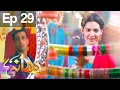 Dhaani - Episode 29 | Har Pal Geo