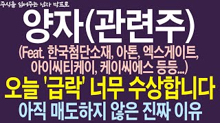 [양자(관련주) 주가전망] 오늘 '급락' 너무 수상합니다!! 오늘 급락에도 매도 하지 않은 진짜 이유!!