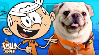 The Pugs & Louds Team Up for an Opening Theme Song 🎵 | The Loud House